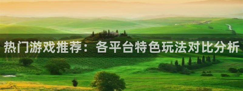 星欧娱乐主管
