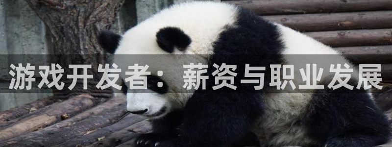 星欧娱乐4主管：游戏开发者：薪资与职业发展