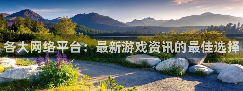 星欧娱乐集团：各大网络平台：最新游戏资讯的最佳选择