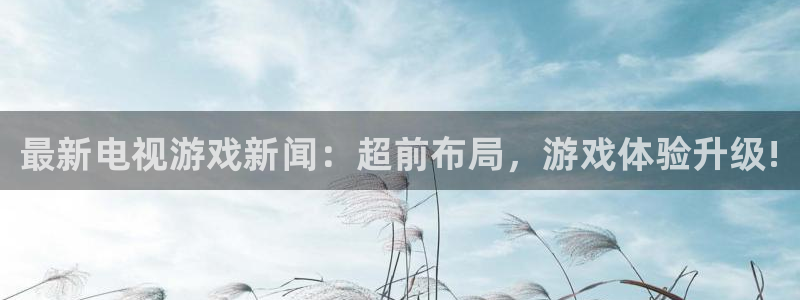 星欧娱乐平台官网入口：最新电视游戏新闻：超前布局，游戏体验升