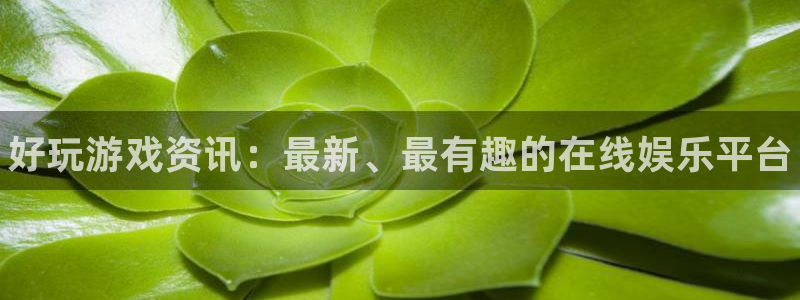 星欧娱乐代理登陆：好玩游戏资讯：最新、最有趣的在线娱乐平台