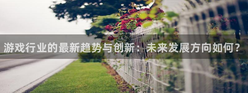星欧娱乐集团：游戏行业的最新趋势与创新：未来发展方向如何？