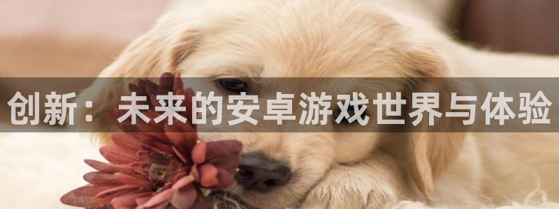 星欧娱乐升级5994月：创新：未来的安卓游戏世界与体验