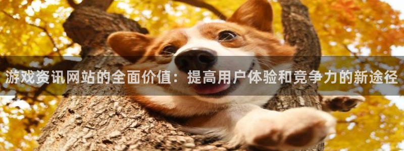 星欧娱乐登录：游戏资讯网站的全面价值：提高用户体验和竞争力的