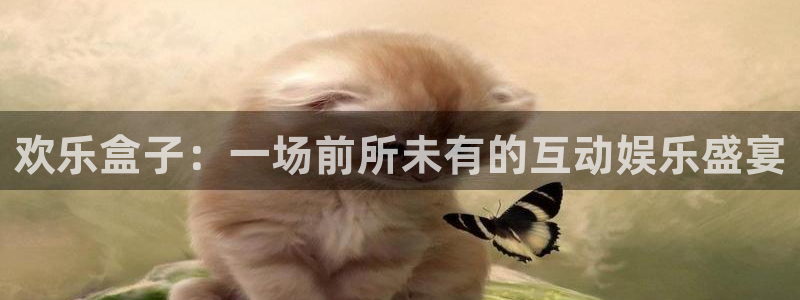 星欧娱乐测速登陆：欢乐盒子：一场前所未有的互动娱乐盛宴