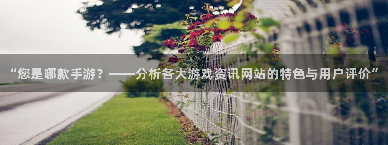 星欧娱乐登陆地址：“您是哪款手游？——分析各大游戏资讯网站的