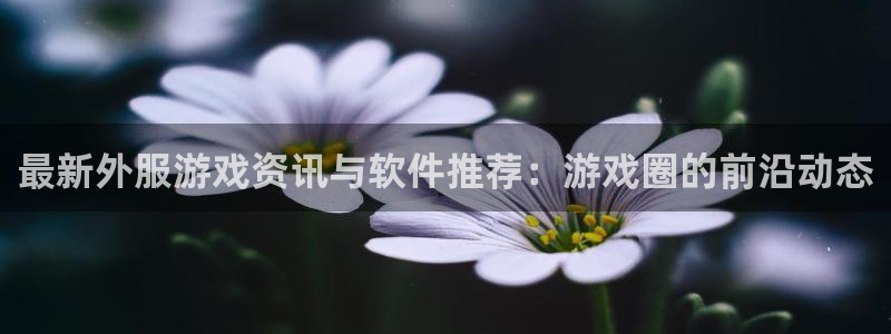 星欧娱乐网址官网：最新外服游戏资讯与软件推荐：游戏圈的前沿动