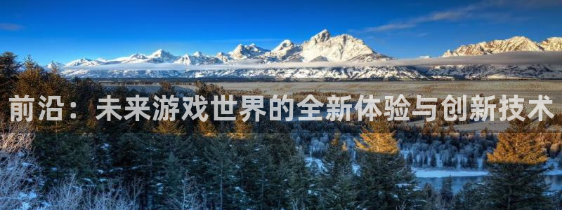 星欧娱乐怎么注册：前沿：未来游戏世界的全新体验与创新技术