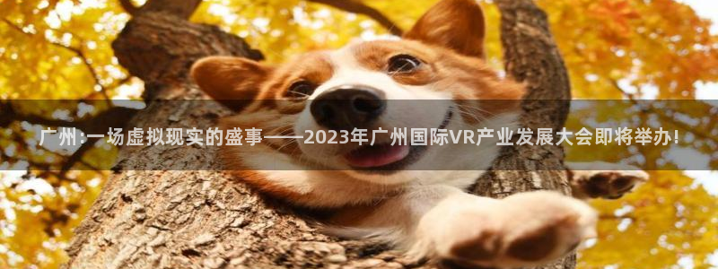 星欧娱乐：广州:一场虚拟现实的盛事——2023年广州国际VR