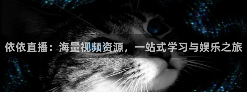 飞速体育直播nba 高清：依依直播：海量视频资源，一站式学习与娱乐之旅