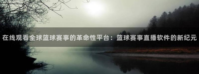 飞速体育直播nba 高清：在线观看全球篮球赛事的革命性平台：篮球赛事直播软件的新纪元