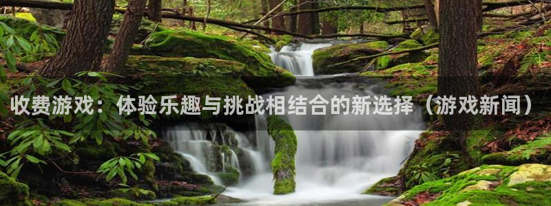 星欧娱乐app下载：收费游戏：体验乐趣与挑战相结合的新选择（