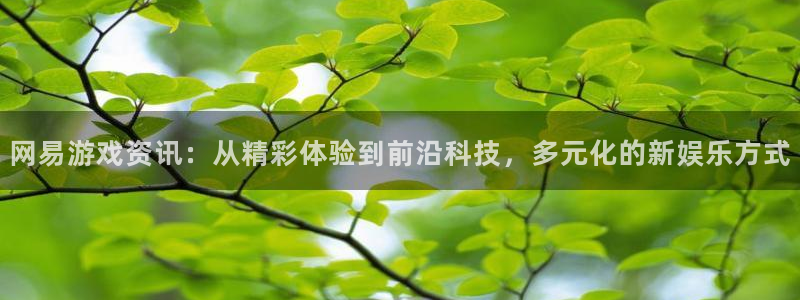 星欧娱乐平台官网注册：网易游戏资讯：从精彩体验到前沿科技，多