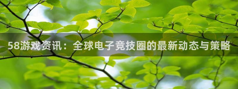 星欧娱乐官方平台:58游戏资讯:全球电子竞技圈的最新动态与策