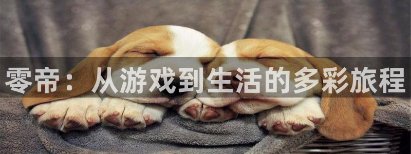 星欧娱乐手机网页版登录：零帝：从游戏到生活的多彩旅程