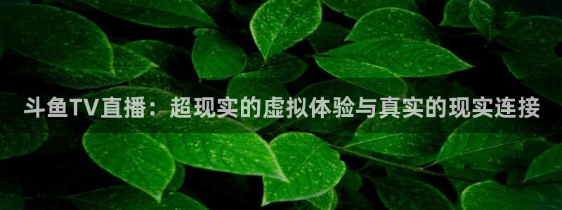 飞速看球：斗鱼TV直播：超现实的虚拟体验与真实的现实连接
