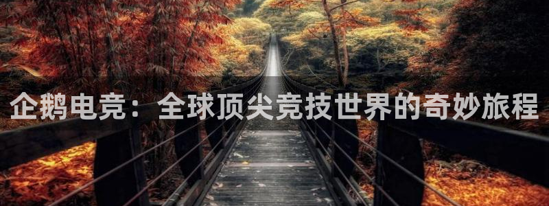 飞速体育直播大厅：企鹅电竞：全球顶尖竞技世界的奇妙旅程