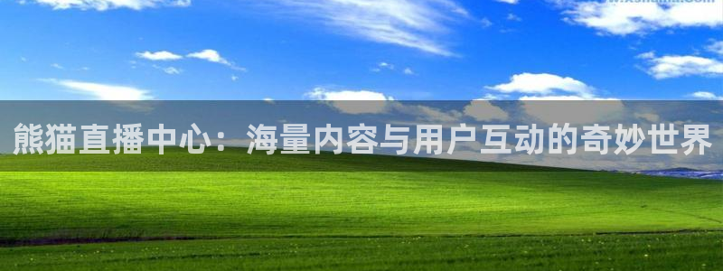 飞速直播体育app：熊猫直播中心：海量内容与用户互动的奇妙世界